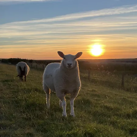 Haus Seepferdchen Apartament