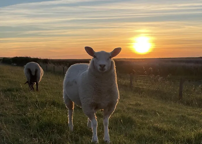 Haus Seepferdchen Appartement